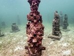 On the seafloor near Isla Fuerte, Colombia, an extraordinary sculpture gallery by potters Hugo Osorio and Pedro Fuentes is emerging, aiming to protect threatened corals.
