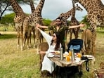 Gauahar Khan and her husband Zaid Darbar recently went for an exotic vacation at Tanzania. The couple went for safari and shared pictures and reels of many memorable moments from their trip.&nbsp;