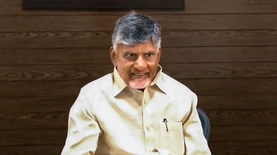 TDP Chief N Chandrababu Naidu. (PTI) TDP Chief N Chandrababu Naidu. (PTI)