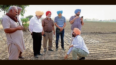PAU V-C Satbir Singh Gosal with other experts at Govindgarh village reviewing the performance of direct-seeded rice in a field in Ludhiana on Thursday. (HT Photo) PAU V-C Satbir Singh Gosal with other experts at Govindgarh village reviewing the performance of direct-seeded rice in a field in Ludhiana on Thursday. (HT Photo)