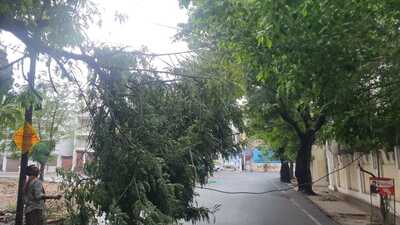 Storm and rain wreak havoc in Lucknow on Thursday (HT) Storm and rain wreak havoc in Lucknow on Thursday (HT)