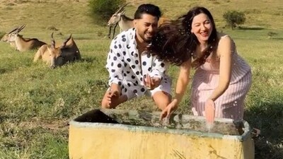 Gauahar Khan and Zaid Darvar also took their one-year-old son Zehaan to Tanzania as the family spent time amid the mesmerising flora and fauna. Gauahar and Zaid also recreated the iconic Hakoona Matata from the animation film Lion King in one of the reels from their Tanzania holiday. Gauahar Khan and Zaid Darvar also took their one-year-old son Zehaan to Tanzania as the family spent time amid the mesmerising flora and fauna. Gauahar and Zaid also recreated the iconic Hakoona Matata from the animation film Lion King in one of the reels from their Tanzania holiday.