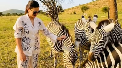 Gauahar Khan also looked happy as she was seen feeding Zebras in one of the reels. The duo shared the reel in a joint post and captioned it as “Unreal Tanzania.” Gauahar Khan also looked happy as she was seen feeding Zebras in one of the reels. The duo shared the reel in a joint post and captioned it as “Unreal Tanzania.”