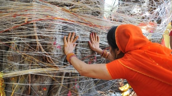 Hindu women tying thread on Banyan tree as part of rituals of Vat Savitri puja. (Mujeeb Faruqui/HT Photo)