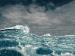Every year, World Oceans Day is observed on June 8.