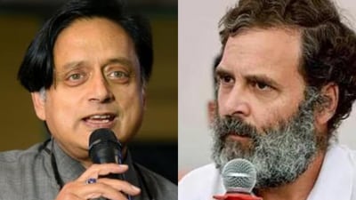 Congress leaders Shashi Tharoor and Rahul Gandhi