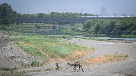 Extreme heatwave in north India has led to depleting water levels in the Yamuna. (Sanchit Khanna/HT)