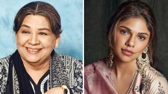 Farida Jalal has reacted to Sharmin Segal getting trolled for her performance in Heeramandi.