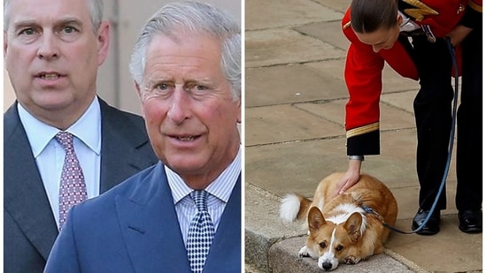 As per the reports, the monarch has appealed to the Duke of York to vacate the lodge and shift into smaller Frogmore Cottage, which was previously owned by Meghan Markle and Prince Harry. (AP )
