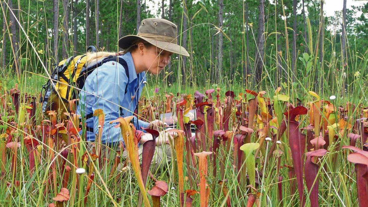 Evolutionary biologist Erin Zimmerman on field. She left research as a botanist after the intense system seemed to leave no room for motherhood. (Eric Chevalier) Evolutionary biologist Erin Zimmerman on field. She left research as a botanist after the intense system seemed to leave no room for motherhood. (Eric Chevalier)