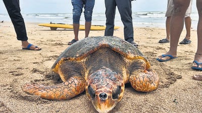 Mumbai’s stranding network prepares for the monsoon Mumbai’s stranding network prepares for the monsoon