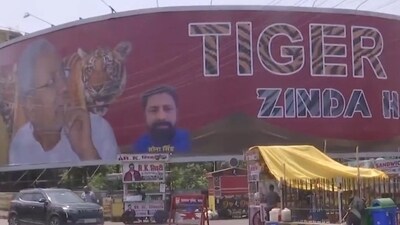 The poster features the Bihar chief minister along with the words 'Tiger Zinda Hai' (X/ ANI) The poster features the Bihar chief minister along with the words 'Tiger Zinda Hai' (X/ ANI)