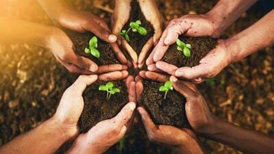 Policymakers, bureaucrats, intellectuals, including educational institutions, entrepreneurs, civil society, and the public, must collaborate on Punjab’s economic development by initiating policy breakthroughs. (Representational photo) Policymakers, bureaucrats, intellectuals, including educational institutions, entrepreneurs, civil society, and the public, must collaborate on Punjab’s economic development by initiating policy breakthroughs. (Representational photo)