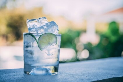 GIn and Tonic (photo for representational purpose only) (Unsplash)