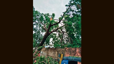 A team of fire brigade officials cleared the debris within a couple of hours, said officials. (HT PHOTO)