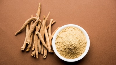 Ashwagandha: Improves mental clarity, focus, and alertness. It helps reduce symptoms of stress and anxiety, supporting brain function. (Shutterstock)