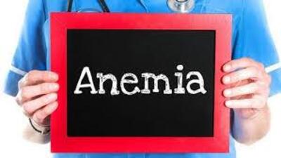 Deputy civil surgeon Dr Shivani, who is also the district nodal officer of the Anaemia-Free India Campaign, said the health of children, especially girls, will be checked through planned activities in government and non-government schools by specialist doctors. (iStock Photo) Deputy civil surgeon Dr Shivani, who is also the district nodal officer of the Anaemia-Free India Campaign, said the health of children, especially girls, will be checked through planned activities in government and non-government schools by specialist doctors. (iStock Photo)