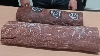 The export of red sandalwood is restricted and special permissions are required with the sandalwood required to be declared with documentation upon exiting the country. CISF said the man did not possess any documents. (HT Photo) The export of red sandalwood is restricted and special permissions are required with the sandalwood required to be declared with documentation upon exiting the country. CISF said the man did not possess any documents. (HT Photo)