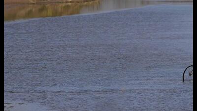The victims had gone to the Sutlej river to cool off. Divers have been deployed to find them.