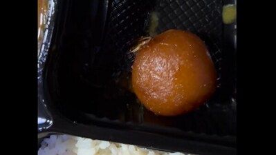 Cockroach roaming on gulab jamun given in a meal by IRCTC. (Reddit/@Aggravating-Wrap-266) Cockroach roaming on gulab jamun given in a meal by IRCTC. (Reddit/@Aggravating-Wrap-266)