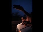 Snapshot of the camel who was left stuck on the car. Snapshot of the camel who was left stuck on the car.