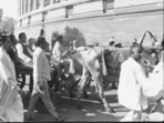 A 1973 photo of Atal Bihari Vajpayee arriving at Parliament House on a bullock cart to protest against the increase in petrol and kerosene prices. (HT File Photo)
