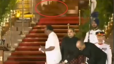 Mysterious animal, seemingly a leopard, gatecrashes Durga Das Uikey's oath-taking ceremony at Rashtrapati Bhavan on June 9 Mysterious animal, seemingly a leopard, gatecrashes Durga Das Uikey's oath-taking ceremony at Rashtrapati Bhavan on June 9