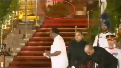 The animal was seen in the background even as BJP MP Durga Das Uikey was taking oath during Sunday's swearing-in ceremony of PM Narendra Modi and his council of ministers. The animal was seen in the background even as BJP MP Durga Das Uikey was taking oath during Sunday's swearing-in ceremony of PM Narendra Modi and his council of ministers.