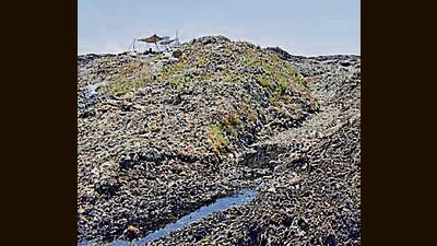 Officials say tender for waste management at the Tajpur Road dump site will be finalised within two months. (HT )