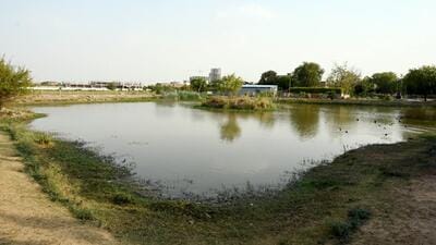 The two ponds, measuring over 10,000 square metres, were reeling under encroachments and a dense layer of silt that had accumulated over the years resulting in reduced capacity to retain water. (Sunil Ghosh/HT Photo) The two ponds, measuring over 10,000 square metres, were reeling under encroachments and a dense layer of silt that had accumulated over the years resulting in reduced capacity to retain water. (Sunil Ghosh/HT Photo)