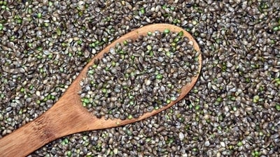6. Hemp seeds: They have a good balance of omega-3 and omega-6 fatty acids, which are important for the baby's brain and eye development. They are also a great source of plant-based protein. (Pixabay) 6. Hemp seeds: They have a good balance of omega-3 and omega-6 fatty acids, which are important for the baby's brain and eye development. They are also a great source of plant-based protein. (Pixabay)