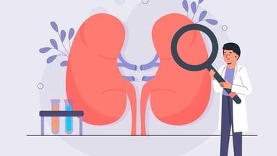 Kidney health can be compromised by various factors, including lifestyle choices and medical conditions. (Freepik) Kidney health can be compromised by various factors, including lifestyle choices and medical conditions. (Freepik)