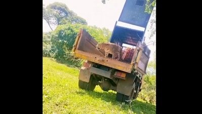 Snapshot of the leopard being released in the wild. (X/@supriyasahuias) Snapshot of the leopard being released in the wild. (X/@supriyasahuias)