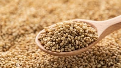 1. Sesame seeds: Rich in zinc, which is essential for proper cell division and foetal growth, sesame seeds pack a powerful punch when it comes to preparing the body for pregnancy. Zinc also helps with hormone regulation and fertility. (Unsplash) 1. Sesame seeds: Rich in zinc, which is essential for proper cell division and foetal growth, sesame seeds pack a powerful punch when it comes to preparing the body for pregnancy. Zinc also helps with hormone regulation and fertility. (Unsplash)