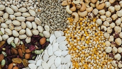 The seven seeds – sesame, sunflower, pumpkin, flax, chia, hemp, and aliv– are incredibly nutritious and can be beneficial for those planning to conceive or during pregnancy. Nutritionist Juhi Kapoor explains how each of these seeds can help with baby planning. (Freepik) The seven seeds – sesame, sunflower, pumpkin, flax, chia, hemp, and aliv– are incredibly nutritious and can be beneficial for those planning to conceive or during pregnancy. Nutritionist Juhi Kapoor explains how each of these seeds can help with baby planning. (Freepik)