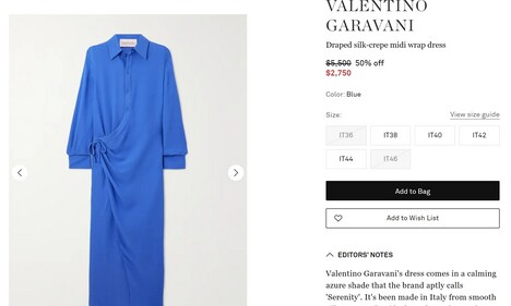 Priyanka's stunning dress is from the brand Valentino Garavani and comes with a price tag of ₹2.29 lakh. (www.net-a-porter.com) Priyanka's stunning dress is from the brand Valentino Garavani and comes with a price tag of ₹2.29 lakh. (www.net-a-porter.com)