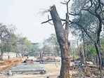 The NGOs are raising concerns about environmental impact and urging reconsideration of the project's approach. (HT PHOTO/For representation)