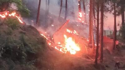 A forest fire in Morni area of Panchkula on May 19. (Sant Arora/HT)