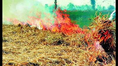 About 20 million tonnes of paddy straw is generated in the paddy harvest season. About 20 million tonnes of paddy straw is generated in the paddy harvest season.