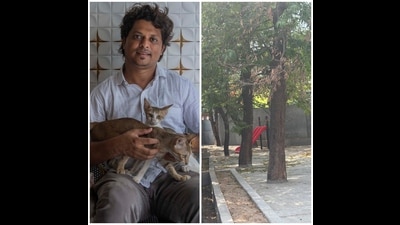 Irfan Khan brought to the notice of the high court how the trees (right) on a BMC-owned plot were being choked with concrete, garbage and building material.