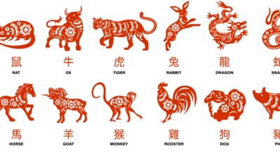 Read your weekly Chinese horoscope based on your zodiac sign. (Freepik) Read your weekly Chinese horoscope based on your zodiac sign. (Freepik)