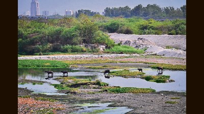 The Yamuna at ITO on Tuesday. The Delhi government has said that Haryana is not releasing enough water. (Sanchit Khanna/HT Photo) The Yamuna at ITO on Tuesday. The Delhi government has said that Haryana is not releasing enough water. (Sanchit Khanna/HT Photo)