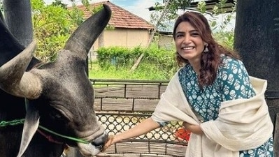 Telugu superstar Samantha Ruth Prabhu also visited Sadhguru's Coimbatore ashram for a spiritual retreat. She shared a bunch of pictures from her stay there, including one where she's feeding a giant bull. Telugu superstar Samantha Ruth Prabhu also visited Sadhguru's Coimbatore ashram for a spiritual retreat. She shared a bunch of pictures from her stay there, including one where she's feeding a giant bull.