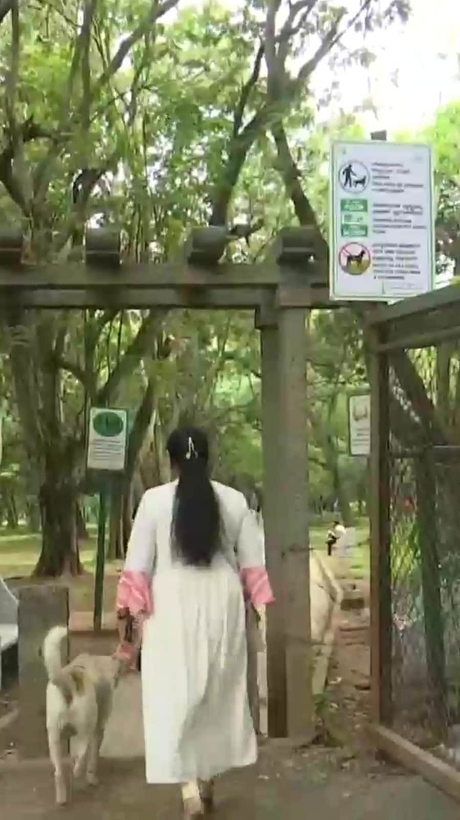 As many as 1,200 public parks in Bengaluru will now remain open for the public between 5 am and 10 pm. (Representative image)