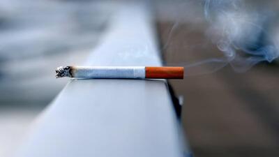 Authorities also seized 53 packets of imported cigarettes, valued at  ₹21,200 in the wholesale market, with a significantly higher retail value. (iStock)