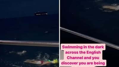 The image shows a seal swimming beside a woman crossing the English Channel. (Instagram/@evabuz) The image shows a seal swimming beside a woman crossing the English Channel. (Instagram/@evabuz)