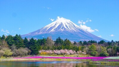 A newly constructed housing block in suburban Tokyo will be pulled down the month before the apartments were due to be handed over to buyers, after incensed locals complained the structure blocked their views of Mt. Fuji. (Representational photo) (Pixabay) A newly constructed housing block in suburban Tokyo will be pulled down the month before the apartments were due to be handed over to buyers, after incensed locals complained the structure blocked their views of Mt. Fuji. (Representational photo) (Pixabay)