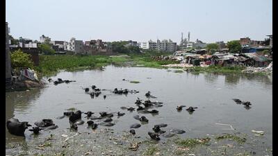 Officials have been asked to ensure restoration and beautification of Motijheel at Aishbagh in Lucknow. (Deepak Gupta/HT Photo) Officials have been asked to ensure restoration and beautification of Motijheel at Aishbagh in Lucknow. (Deepak Gupta/HT Photo)