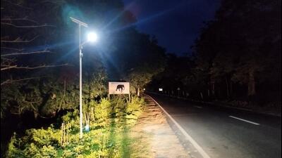 Solar floodlights light up Kaziranga wildlife corridor. (Sourced image) Solar floodlights light up Kaziranga wildlife corridor. (Sourced image)