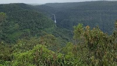 Goa forest minister and Valpoi MLA Vishwajit Rane has been opposed to the tiger reserve (FILE PHOTO)